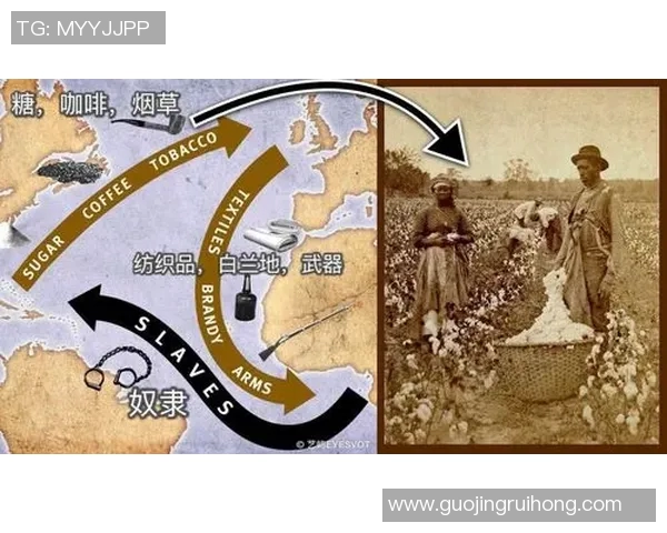 亚洲与美洲的文化碰撞韩国在其中的独特角色与影响分析