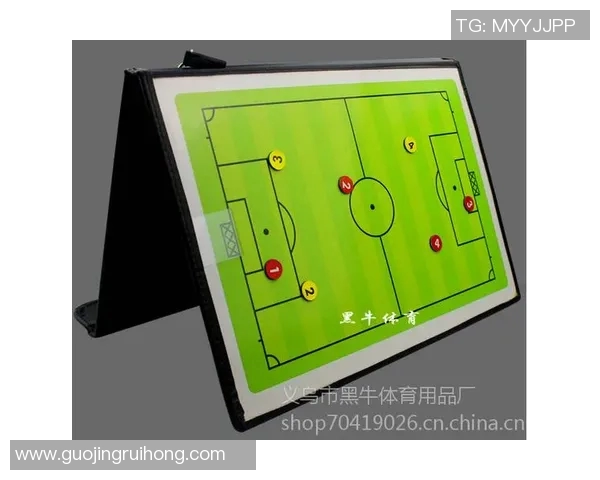 维也纳与里耶卡足球对决全面分析及战术解读